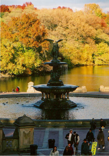 Central Park 2